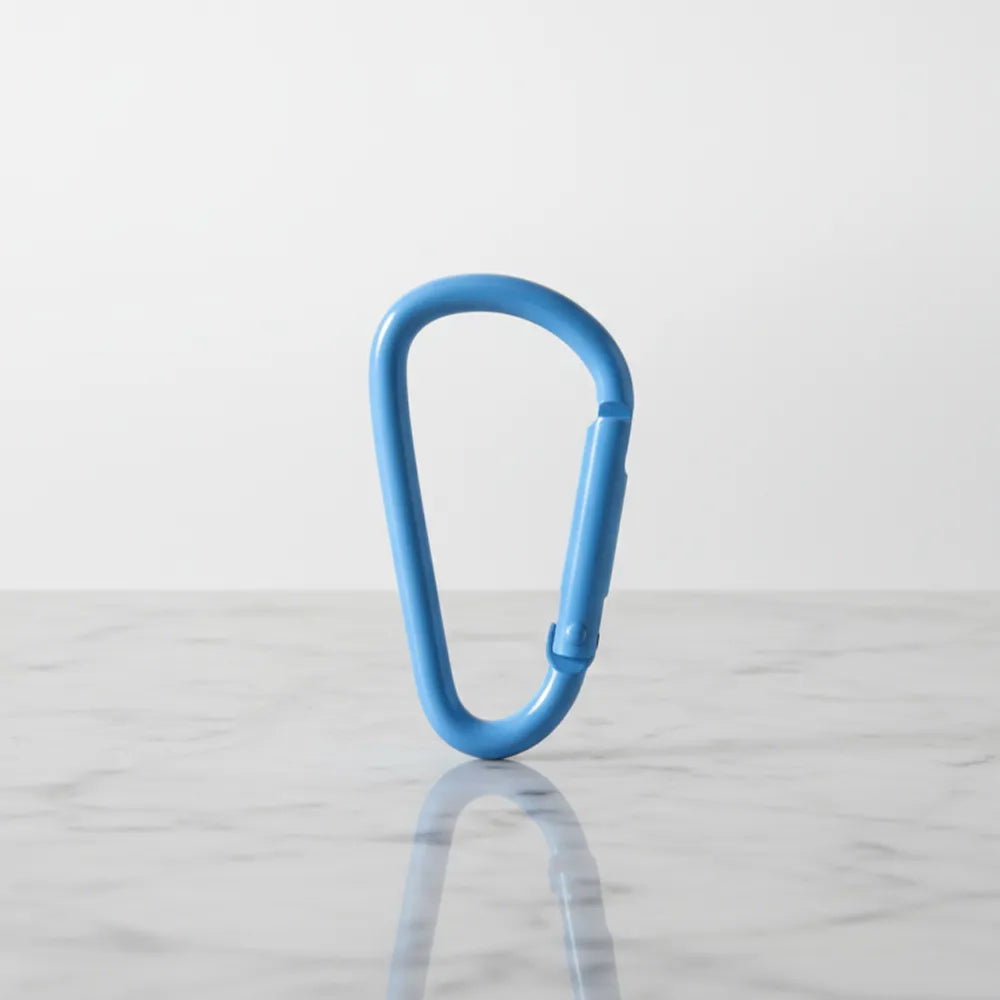 Blue carabiner keychain — decorative bag & backpack charm by Sportive Lives, Canada