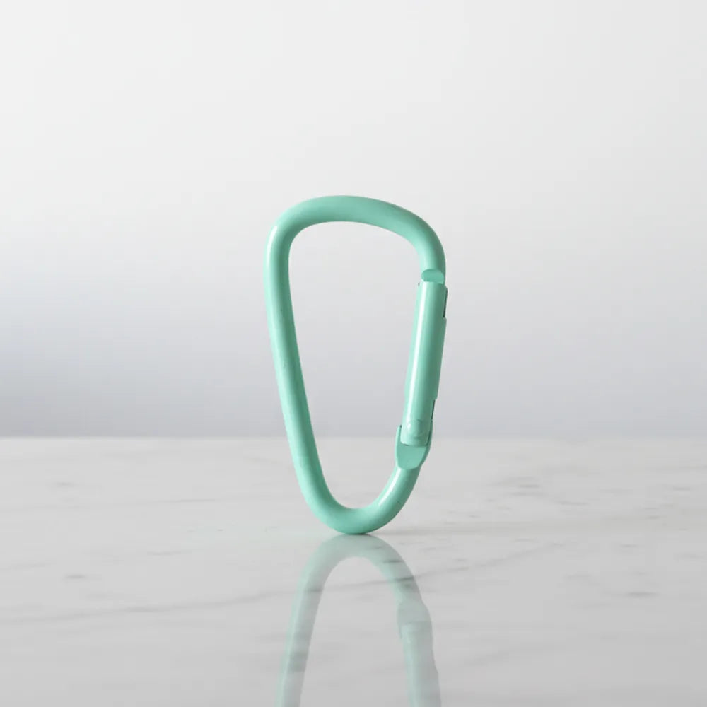 Mint green decorative carabiner — keychain/bag charm accessory, Sportive Lives Canada